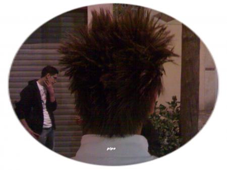 pipo fashion