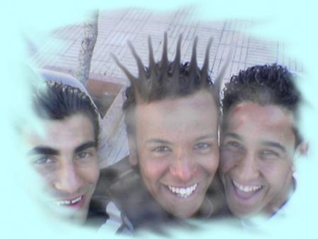 the pipsyrachidios
